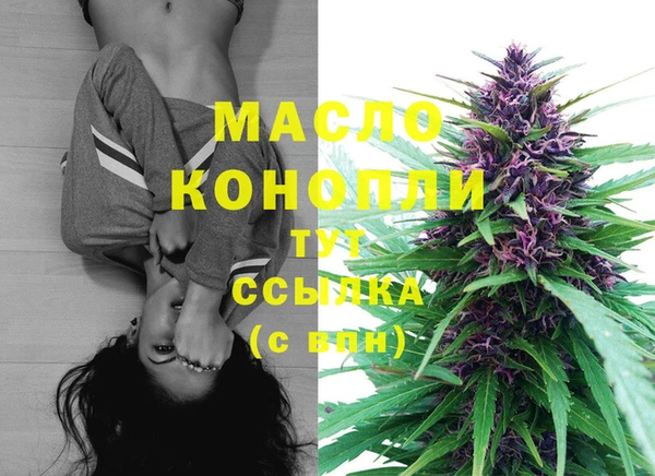 стаф Дубовка