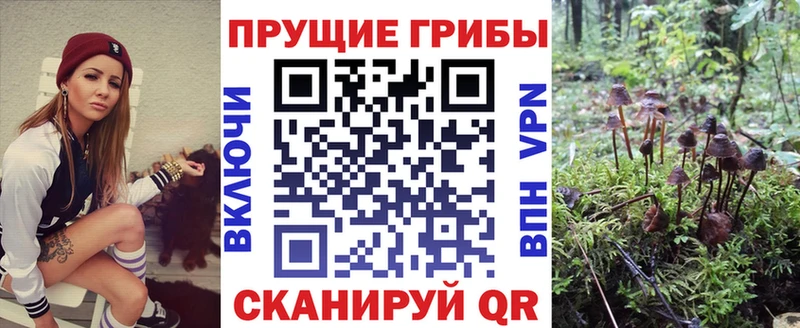 hydra   продажа наркотиков  сайты даркнета Telegram  Галлюциногенные грибы Cubensis  Липки 
